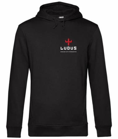 Ludus